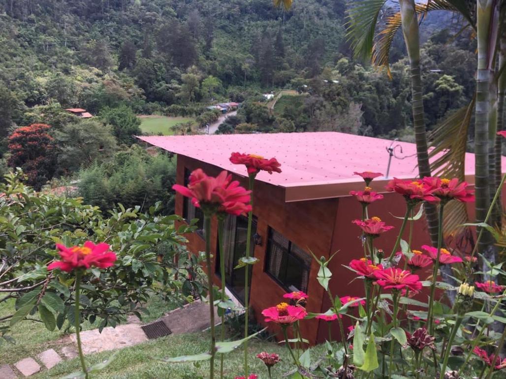 Navarro Mountain Cartago Exterior foto